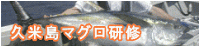 巨大マグロを釣る研修目的によりスタッフで沖縄県久米島へ遠征した記録です。(金華山で釣るためです。)