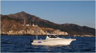 <金華山灯台> 島の東側のYF27