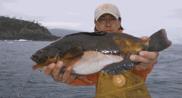 ６月29日釣り情報