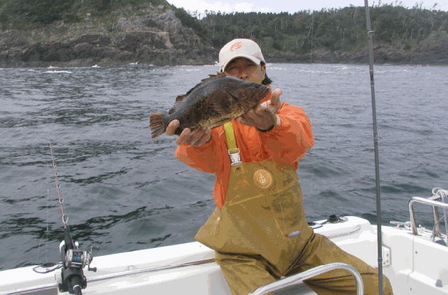 ６月29日釣り情報