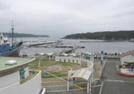 鮎川港は、捕鯨文化を伝承し続けています。
