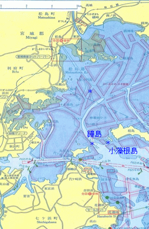 松島には、浸食により穴のあいた島がたくさん見られ<BR>