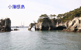 松島には、浸食により穴のあいた島がたくさん見られ
