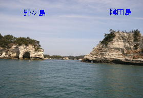 陰田島は松島の中でも勇壮な形ですが、別名「花魁島」とも呼ばれています。