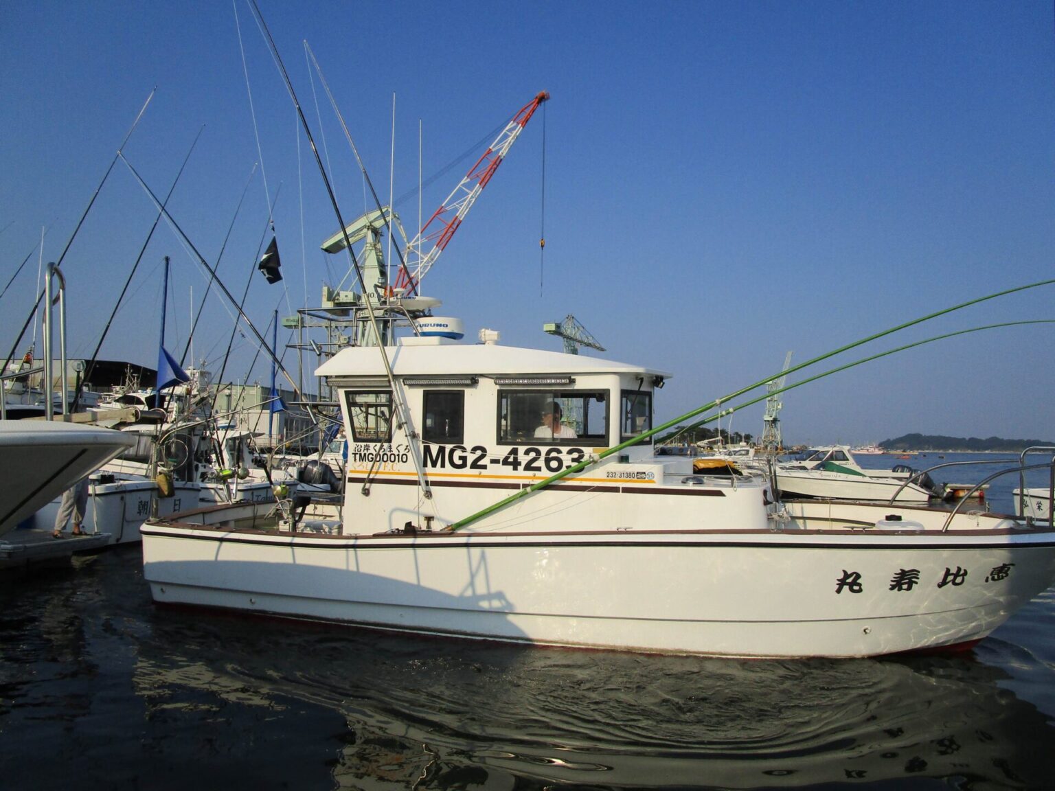 クロマグロ捕獲注意・規制を知ってルールを守りましょう | くろしお北浜マリンベース